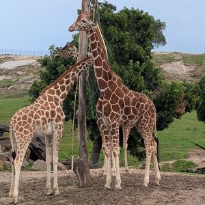 Thanks for stopping by!